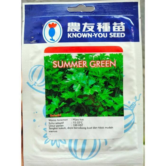 benih SELEDRI SUMMER GREEN 5 gram KYS - benih seledri sop