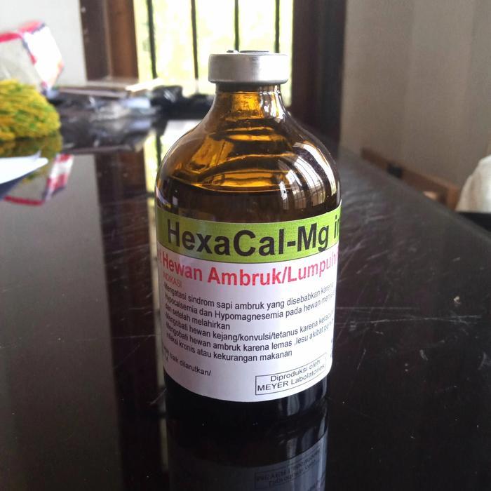 HEXACAL-MG INJ.OBAT HEWAN AMBRUK /LUMPUH/PARALISA/TETANUS.