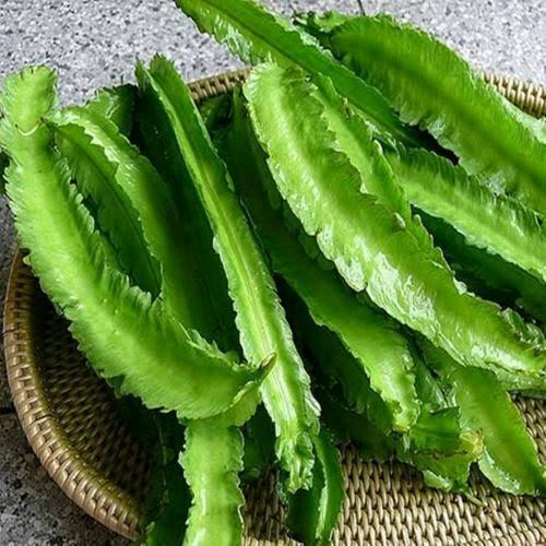 15 Biji Benih Cipir Kecipir
