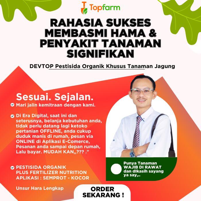 OBAT SEMPROT HAMA JAGUNG / OBAT HAMA DAUN JAGUNG TERBAIK / PESTISIDA DEVTOP / OBAT ULAT GRAYAK