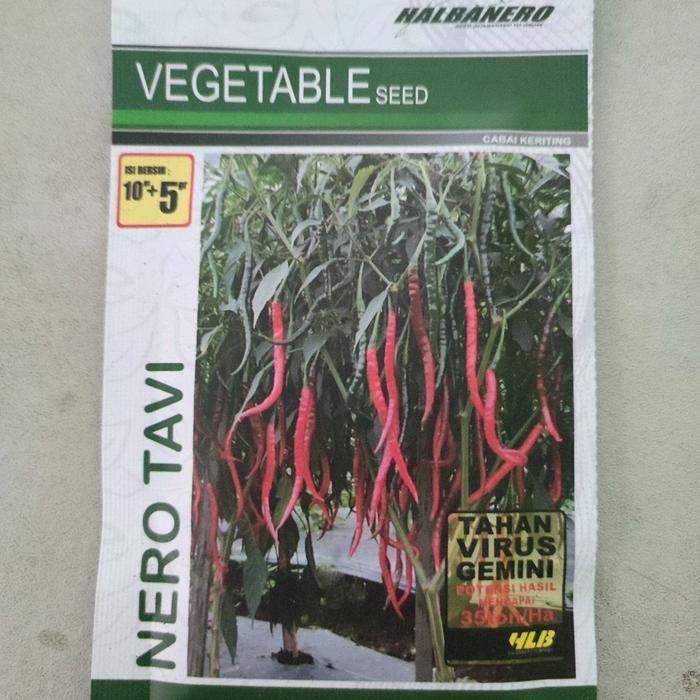 Terangbenderangshop Benih Cabe Keriting Nero Tavi 15Gr Halbanero