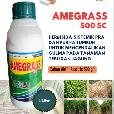 Paket Herbisida Amegras 500 SC + Sidamin 865 SL - 1 Liter pembasmi rumput pada tanaman tebu