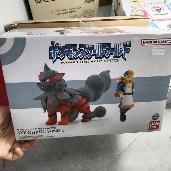 Pokemon Scale World Hisui Region Volo & Arcanine Hisuian Jade Region Form cynthia cogita