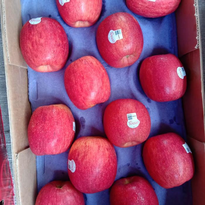 Buah apel envy premium apel envy garing manis 1kg