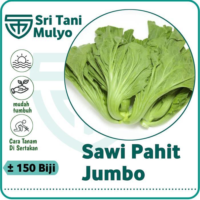 150 Biji - Benih Sawi Pahit JUMBO LOKAL - Bibit Sayuran - Benih Sayuran Seribuan Sawi Hijau