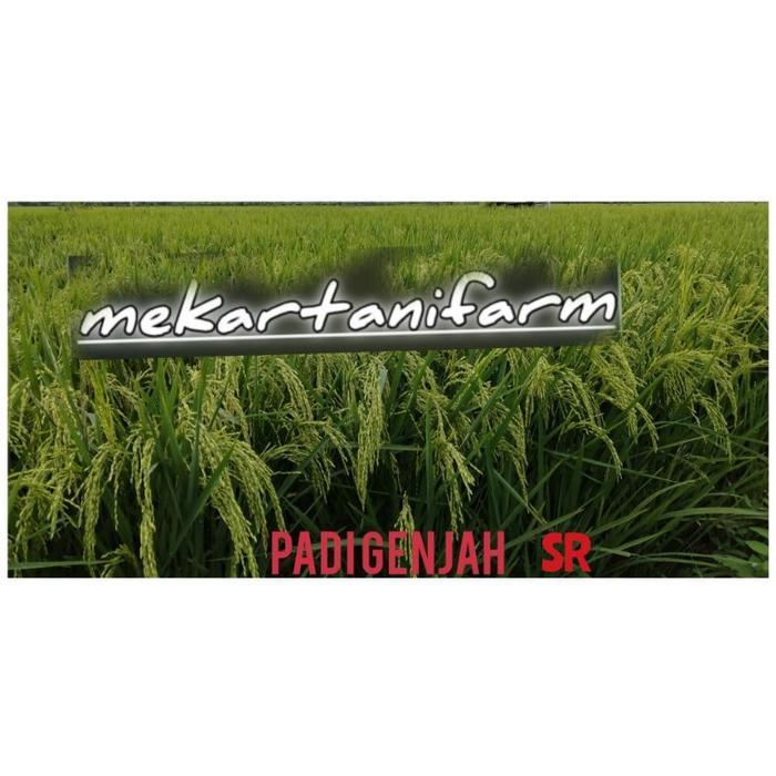 BENIH PADI GENJAH SR 5Kg