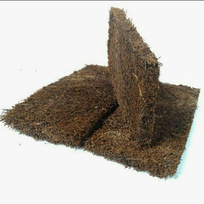 Media Tanam Akar Pakis - akar pakis