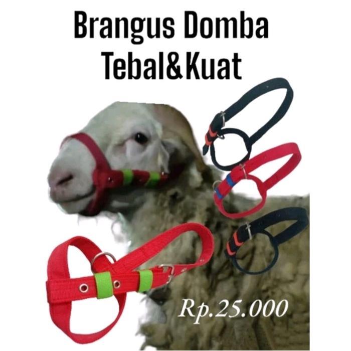 Head halter / Brangus Domba dan Kambing