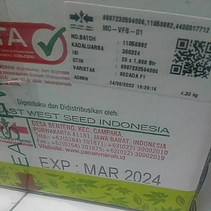 Benih Jagung Manis Secada 1800 Biji
