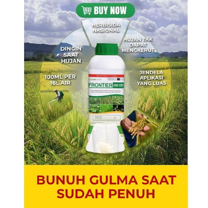 viral~FRONTIER 200 OD Herbisida Pembasmi Gulma, Rumput Liar