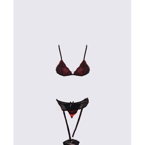 Bra +G String Sexy Lingerie Bikini +Garter+Stocking (4pcs) B07-1