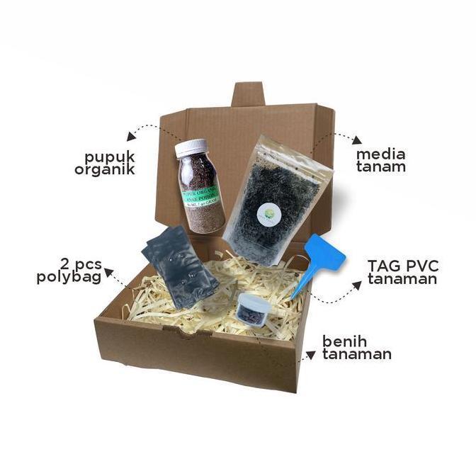 fresh Paket Langsung Tanam - Gardening Kit - Benih Asparagus F1 UC800 Seeds