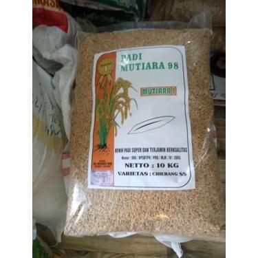 Benih Padi Ciherang Mutiara 10 Kg