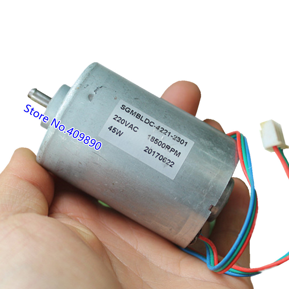 DOUBLE BALL BEARING BRUSHLESS MOTOR 45W HIGH-SPEED HIGH-POWER 220V BRUSHLESS MOTOR