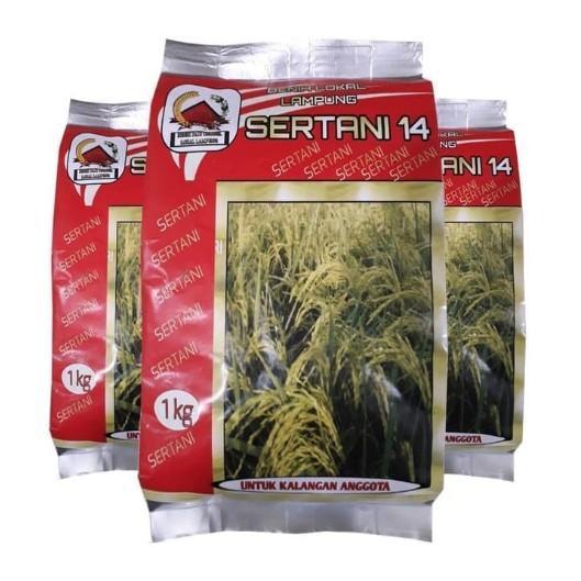 Benih Padi Sertani 14