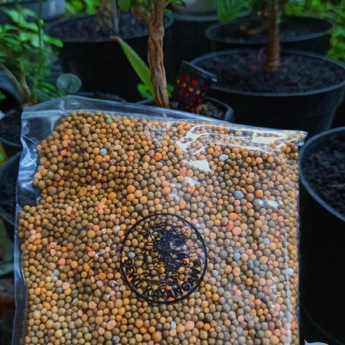 Pupuk dekastar pupuk bonsai pupuk angrek aglonema repak 100gr Tanaman Anggrek Kalium