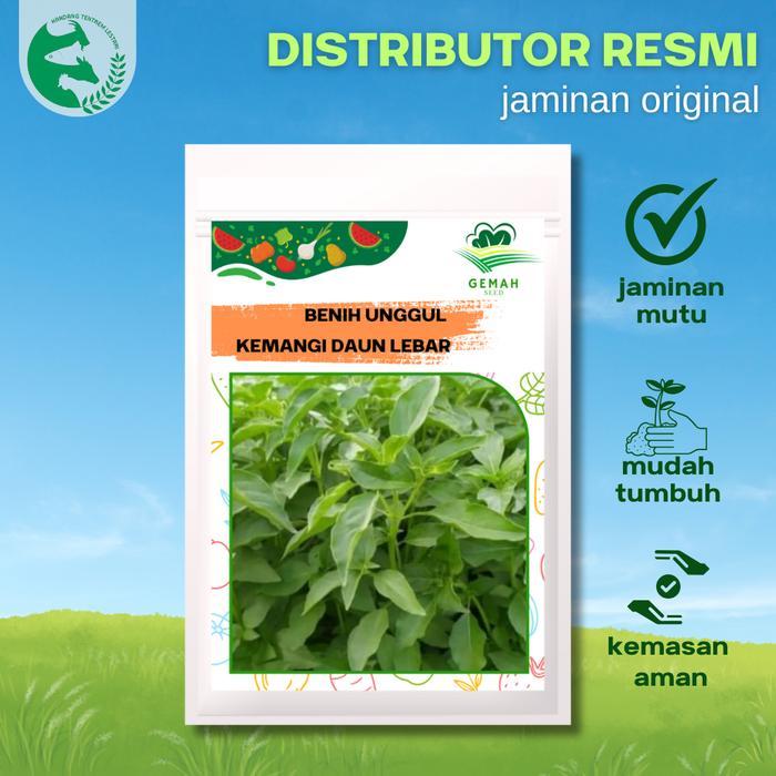 Benih Kemangi 20 gram Daun Lebar Ribuan Biji GEMAH SEED Unggul Lambat Berbunga