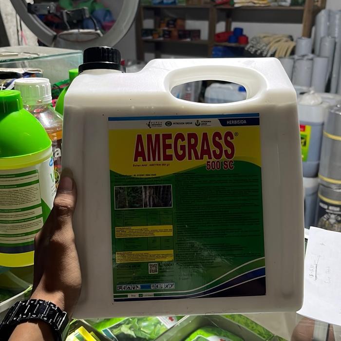 Herbisida Selektif Tebu Amegrass 5L