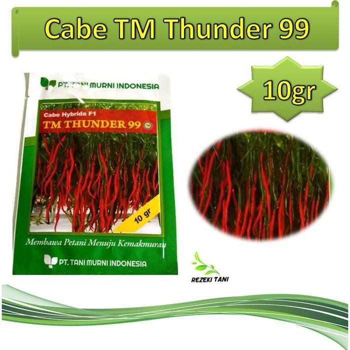 Benih bibit cabe TM thunder 99 10gr cap tani murni