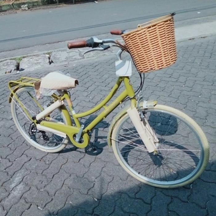 Keranjang Sepeda Polygon Sierra Oosten Classic Rotan Vintage Ori
