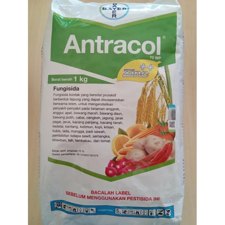 lumercok99 fungisida antracol 1kg/fungisida obat jamur tanaman