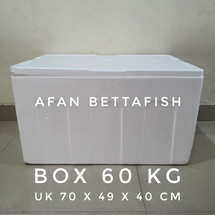 STYROFOAM BOX 60KG 70 x 49 x 40 CM BOX STEREFOAM 60 KG