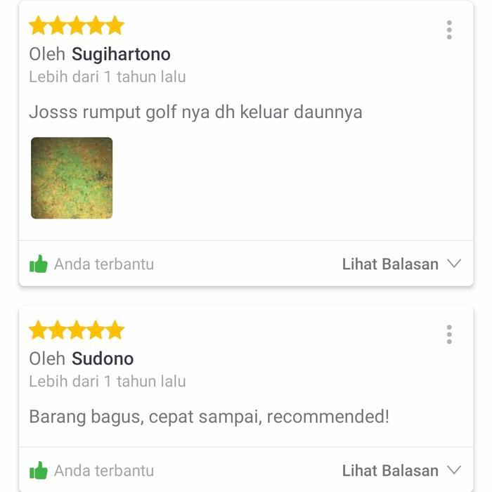 Rabbit_House23 Pupuk Rumput Gajah Pakan Sapi