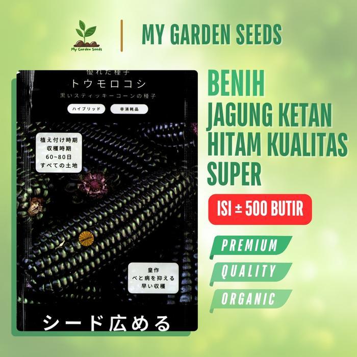 BENIH JAGUNG KETAN HITAM KEMASAN PREMIUM KUALITAS SUPER 500 BUTIR