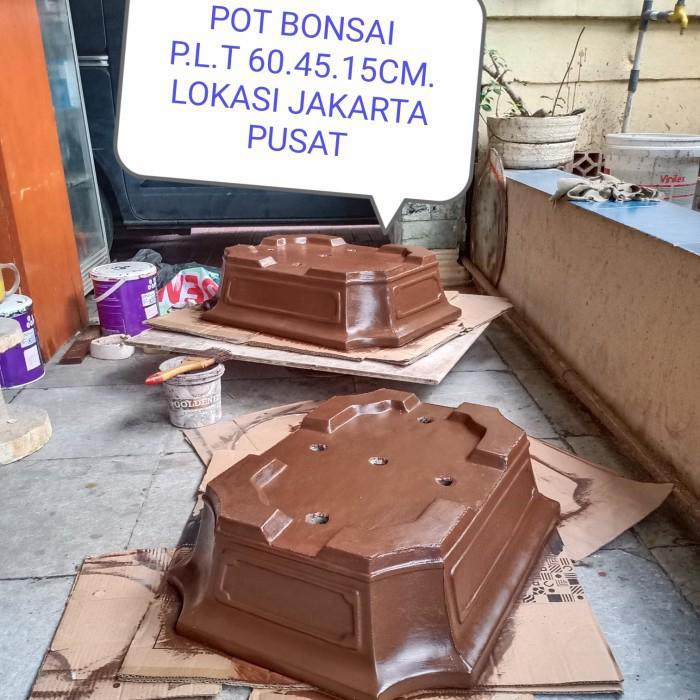 Pot Bonsai Semen 60.45.15cm