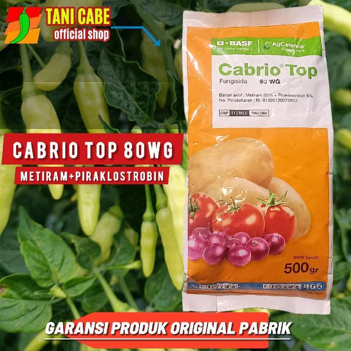 ` fungisida Cabrio Top 80 WG 500 Gram Fungisida Sistemik untuk Cabai Tomat & Bawang Merah