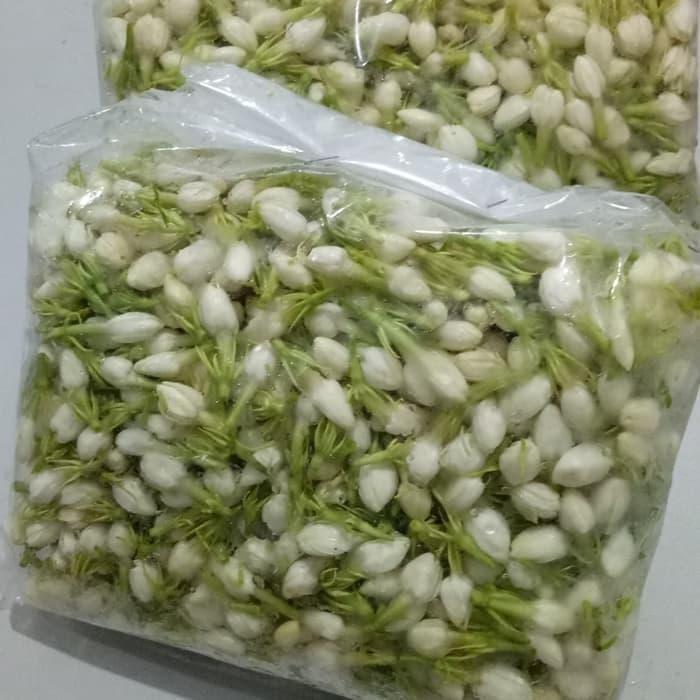 melati / melati tabur/ melati kantong