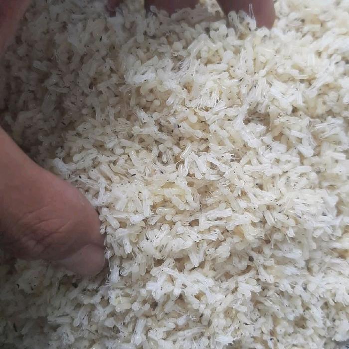 KROTO BADUY BERSIH TANPA SEMUT 100 GRAM - SUPER BEKU