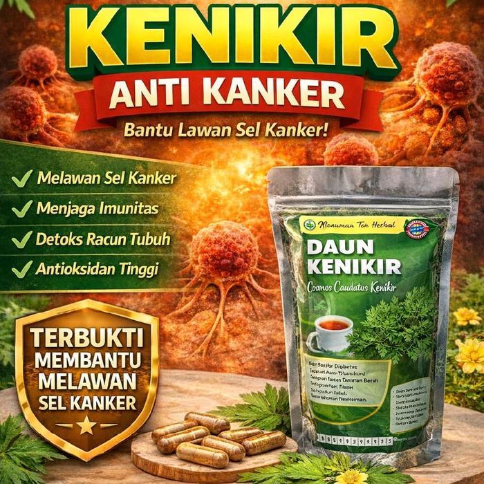 Daun Kering Kenikir Premium daun kenikir tingatkan imunitas 1kg