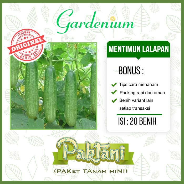 Nimira_Amira Paket 7 Macam Benih Sayuran Lalap ( Kemangi Terong Selada Merah Mentimun Tomat Sayur )