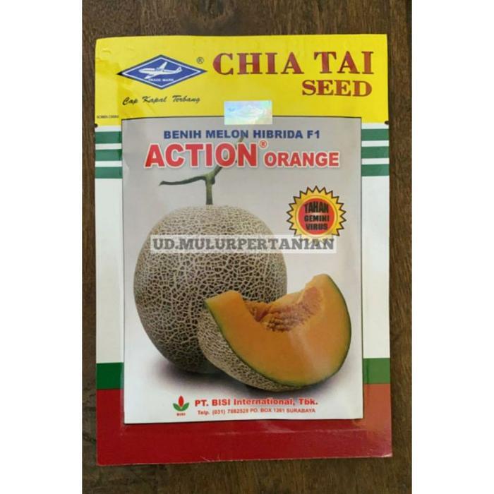 Benih Melon Hibrida F1 ACTION ORANGE 550 biji