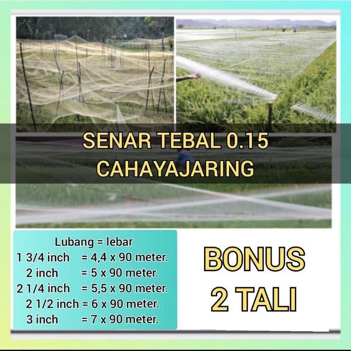 READY jaring padi penutup sawah senar 0.20 jaring burung jaring burung pipit