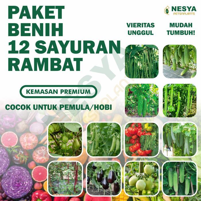 Benih Sayuran Rambat Paket 12 Benih Sayuran Rambat: Pare, Labu Air, Kacang Panjang, Buncis, Timun, d