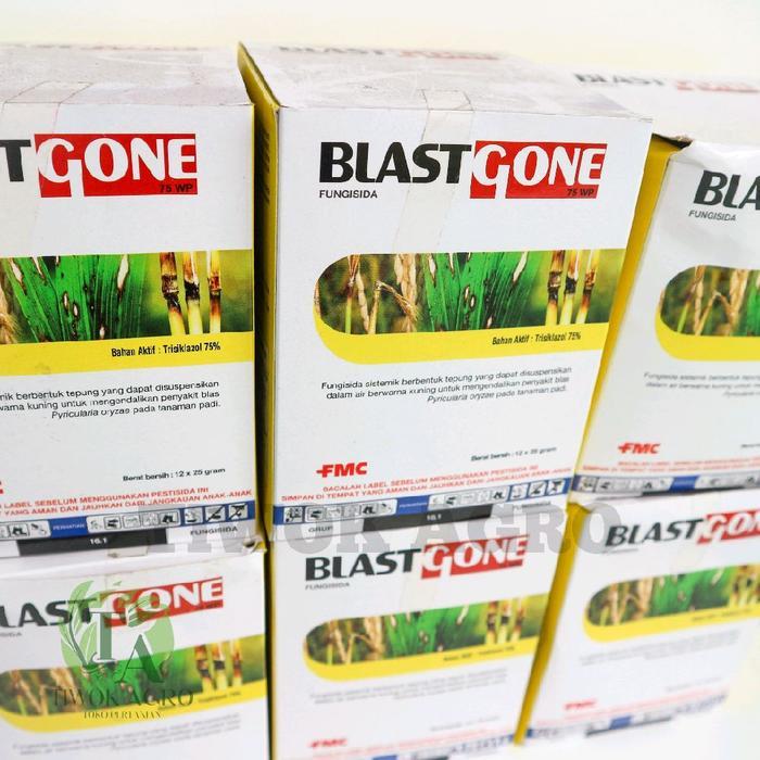 mataharitaman99 BLASTGONE 75 WP 1 Box (12 x 25gr) Tricyclazole 75% Fungisida Sistemik Anti Blas Padi
