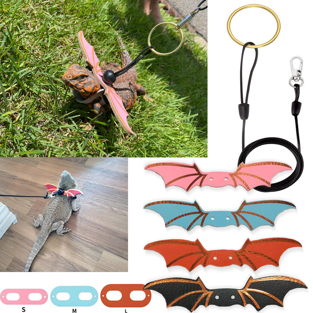 Adjustable Bearded Dragon Reptile Leash Harness set Wings Costume Clothes From Baby To Juvenile