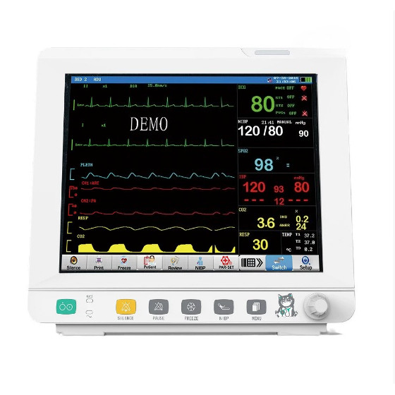 SALE Animal electrocardiogram monitor with six parameters ECG/RESP/NIBP/PR/SPO2