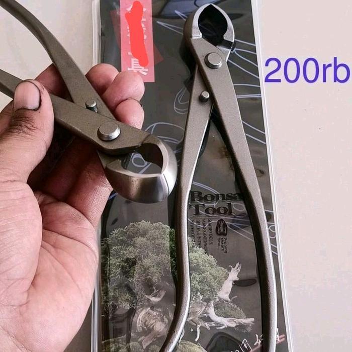 Terlaris 1 Pcs Catut Bonsai Cembung 21 Cm Catok Cembung Tanaman Bonsai