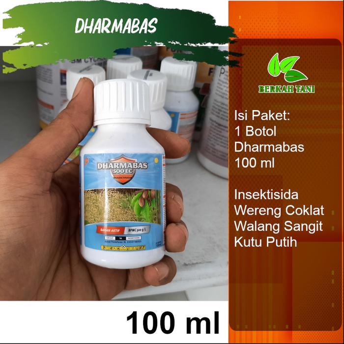 Terangbenderangshop Dharmabas 100 Ml Insektisida Kutu Kebul Kutu Putih