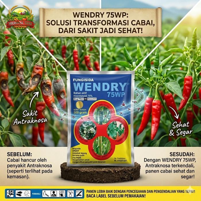 ` Wendry 75 WP Fungisida Protektif 500 gr