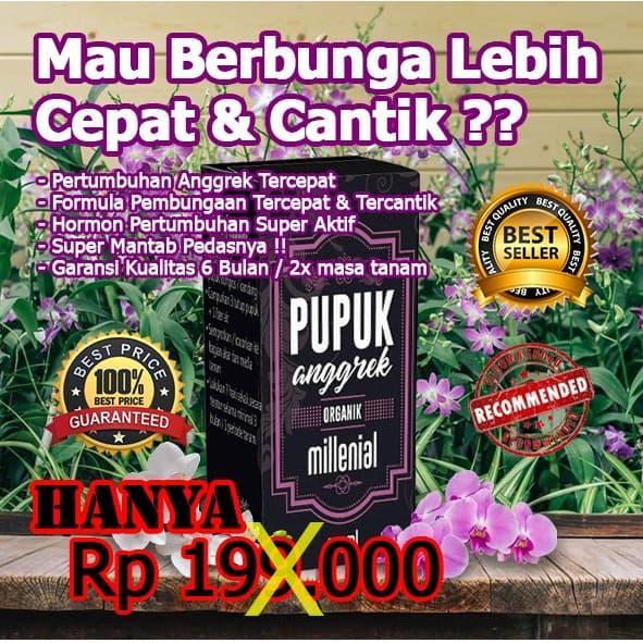 Pupuk Anggrek Agar Subur dan Berbunga,Pupuk Anggrek Cepat Berbunga,Pupuk Anggrek Biar Subur,Pupuk
