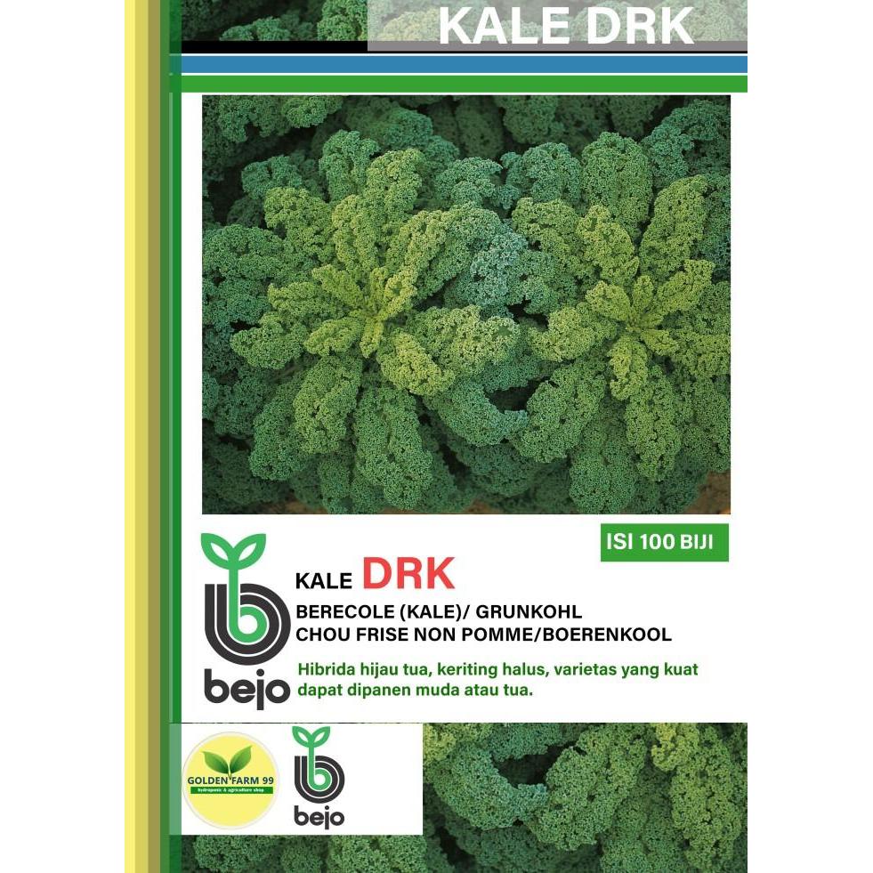 Benih KALE Darkibor Bejo seed -