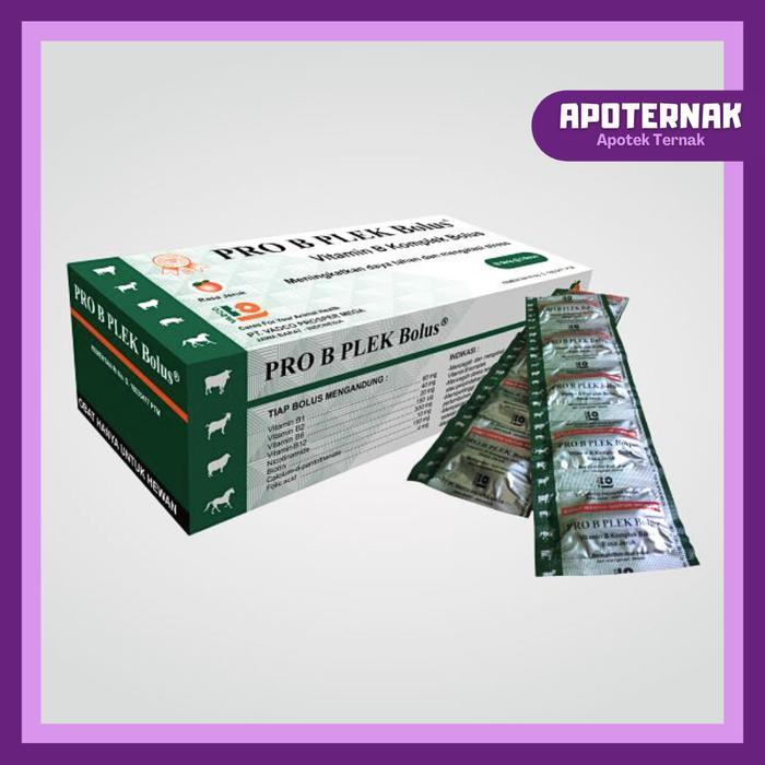 PRO B PLEK BOLUS 1 BOX (50 BOLUS) VITAMIN B KOMPLEK UNTUK HEWAN BESAR
