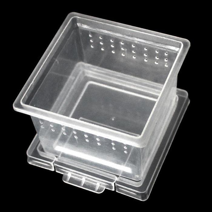 SMALL ENCLOSURE SQUARE BOX BABY TARANTULA SPIDER TARANTULA NOMOY H1
