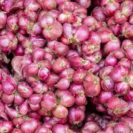 Bawang Merah Brebes Super 1Kg / Bawang Merah Brebes 1Kg Tbk