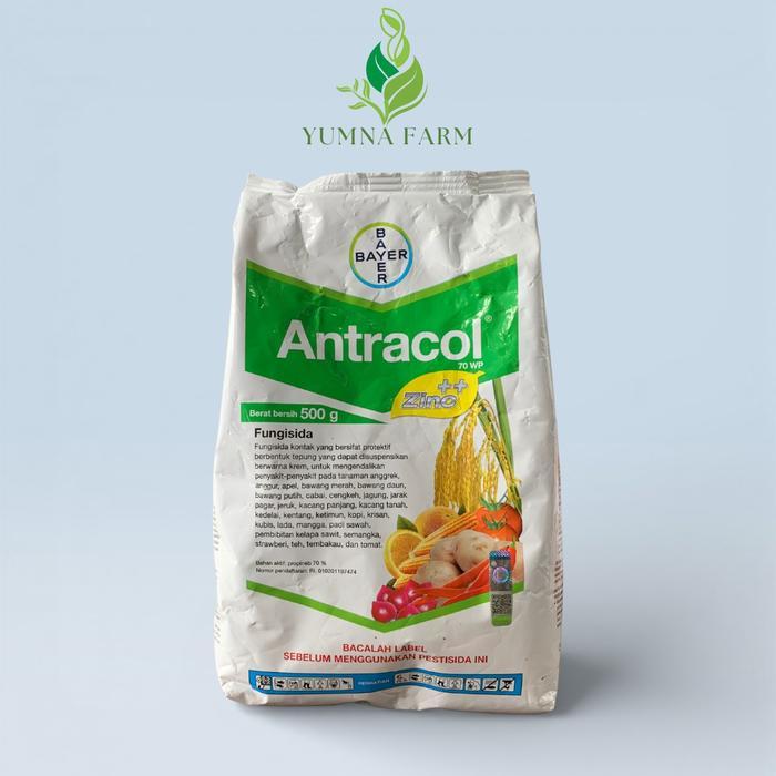 ` Fungisida Antracol 70 WP 500Gr Fungisida Kontak