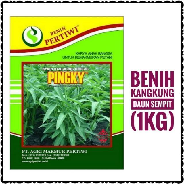 Benih Kangkung 1kg